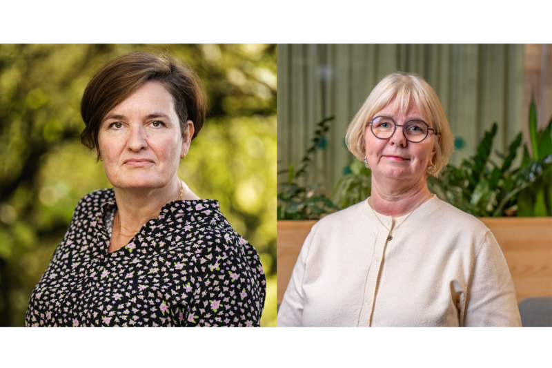 Pårørende er helse- og omsorgstjenestens stille bærebjelke