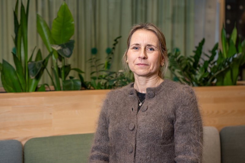 Historien om "Herman"