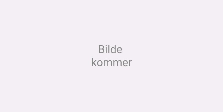 Bilde mangler